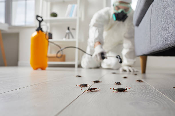 Post-Treatment Bed Bug Interceptor Monitoring in Baileyton