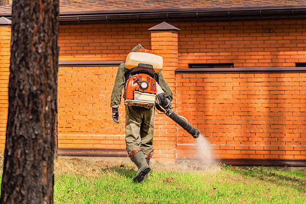 Bed Bug Clearance Verification and Documentation in Baileyton